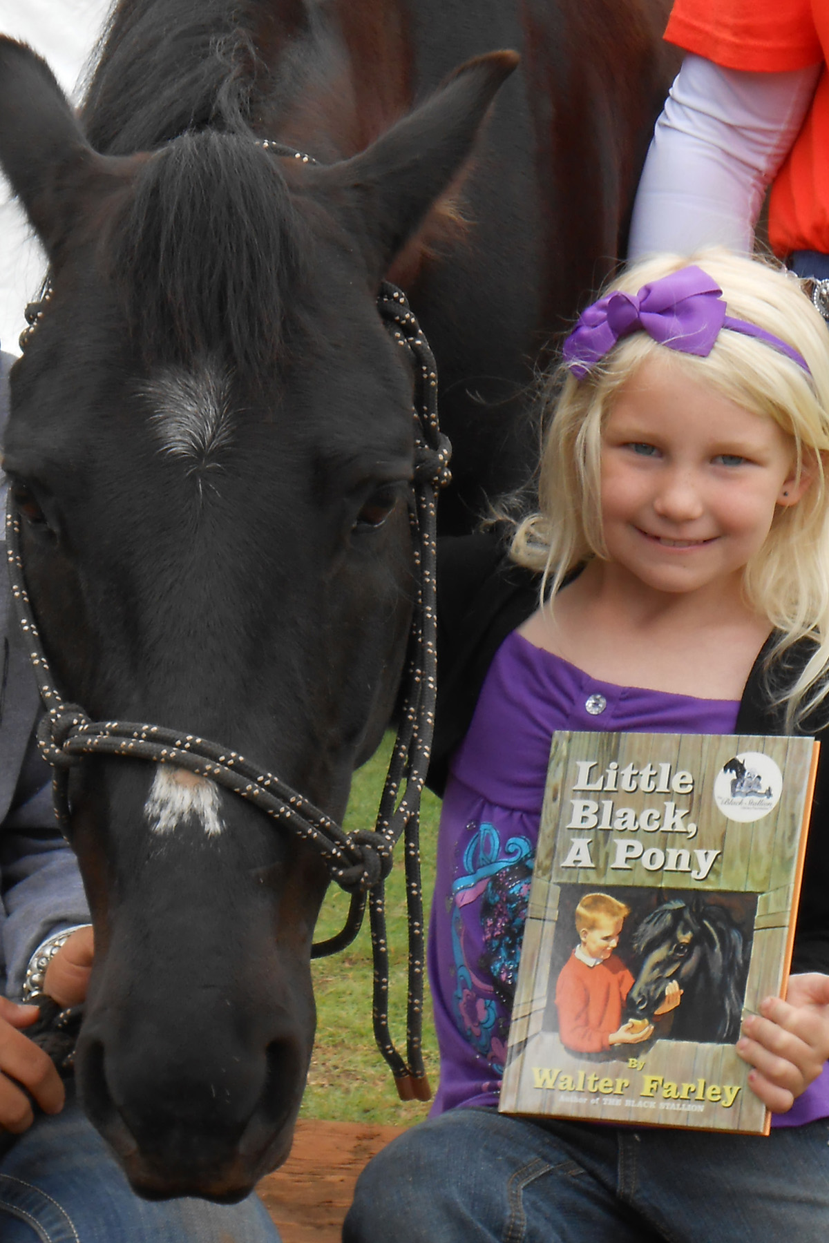 The horse that came to school