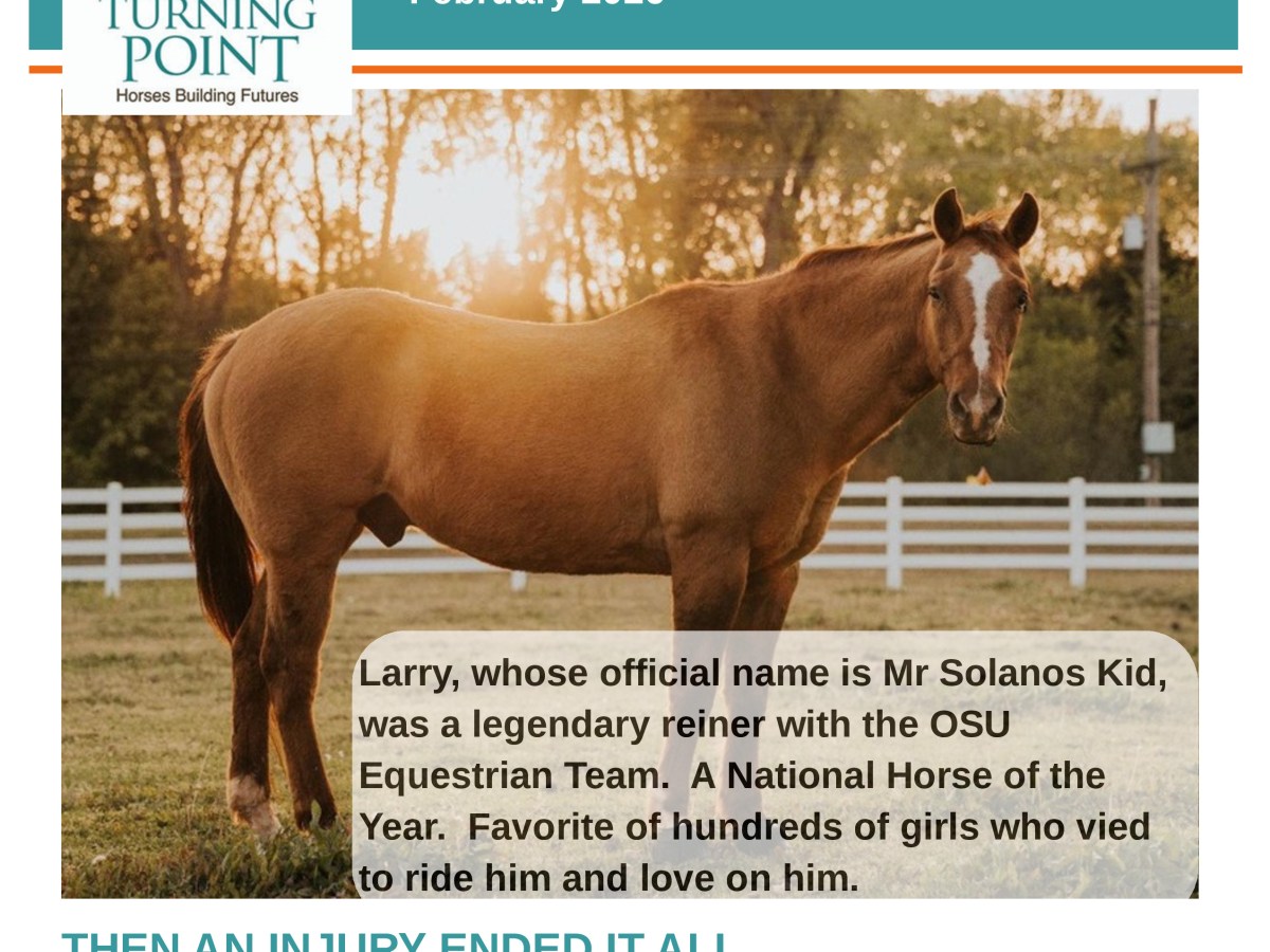 A Tale of Two&nbsp;Larry’s